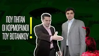 Διπλή Ανάπλαση στον Βοτανικό: Ήταν όντως το πρόβλημα οι κορμοράνοι;