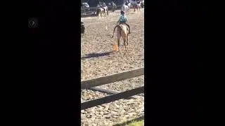 Horse Pooping Reversed