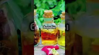 Трипсы как бороться  #трипс #вредитель  #чем  #избавиться  #рецепт
