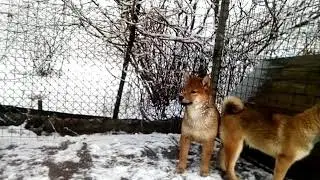 Наши малыши