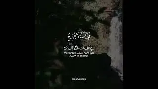 Patience and God's Reward