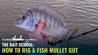 How to Rig and Fish Mullet Gut - The Bait School - Bait Fishing Basics