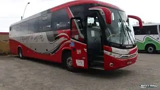 Conheça em detalhes o Marcopolo G7 da Pássaro Marron
