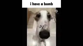 Shitpost