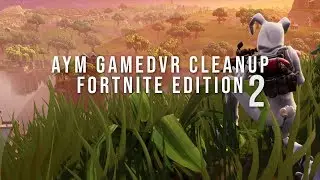 Aym GameDVR Cleanup Fortnite Edition 2
