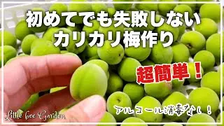【ナチュラルライフ】超簡単❣️初めてでも失敗しないカリカリ梅作り❣️【梅仕事】