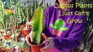 Cactus Plants that I just can't Grow 