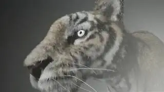Unreal Engine - Tiger fur test