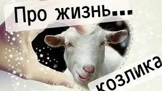 СИМУЛЯТОР КОЗЛА ۞۞۞ GOAT SIMULATOR