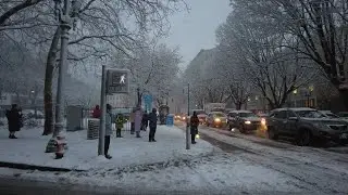 Downtown Portland Snowstorm during Rush Hour