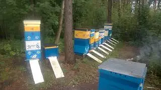Итоги сезона 2019