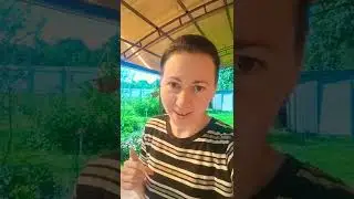 Сетевой бизнес это не моё. ой нет нет моё. Не моё это бегать в офис 5 дней в неделю и т.д.....