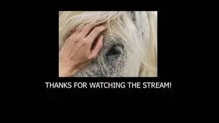 Backstreet Boy - Dit Was Mijn Favoriete Stream