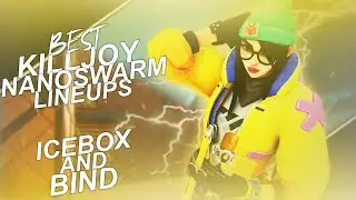 BEST KILLJOY NANOSWARM LINEUPS // ICEBOX AND BIND