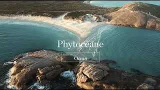 Destination OCEAN - Soin Signature Visage