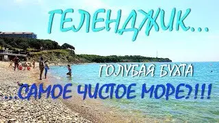 ГЕЛЕНДЖИК... ГОЛУБАЯ БУХТА... САМОЕ ЧИСТОЕ МОРЕ?!!!...
