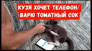 #143переезднаюг
