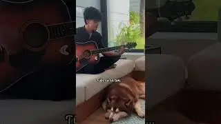 Hè rồi đi biển thôi