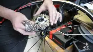 Montaggio cassetta pignoni - Bici da corsa