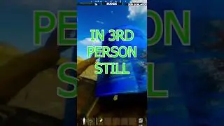 Third person bug in Rust Console