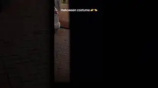 Идеальнее костюма на хэллоуин не существует