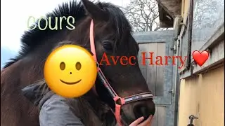 Cours de saut avec Harry ❤️❤️❤️