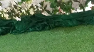 Resepsi Uli dan Mardian