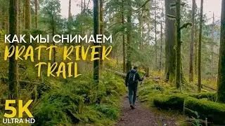 Снимаем тропу Pratt river в 5K — Обзор камеры Osmo Pocket 2 — Секреты и лайфхаки видеосъёмки природы