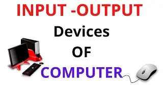 Input And Output Devices Of Computer
