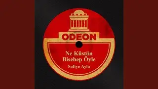 Ne Küstün Bisebep Öyle