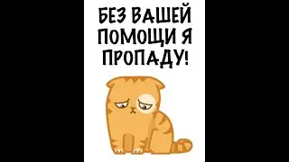 Экстренный выпуск!!!