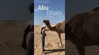 Sand Dune Adventures in Abu Dhabi! Merrell Twins - 