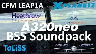 MUST HAVE - BSS A320neo Soundpack! LEAP1A | First Flight and a little surprise | Real Airline Pilot