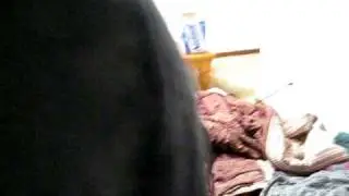 We stun gun our friend between the legs