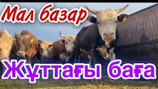 МАЛ БАЗАР Талдықорған, Көксу базары. 11.07.21