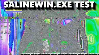 Salinewin.exe | trojan virus | 
