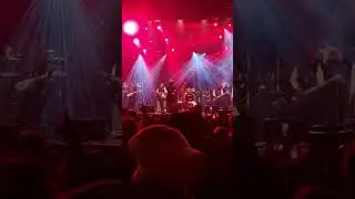 Tarrus Riley, Reggae Geel 2023, Belgium