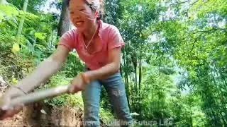Video Full:160 Days Gardening - Harvesting Huge Bamboo Shoot - make wooden doors,building a new life