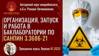Курс Романа Овчинникова 