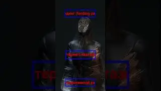 15 февраля 2024 г.