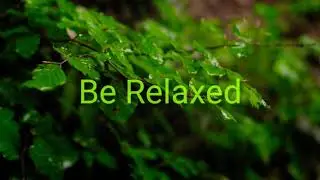 Relaxing rain sounds 🌧️ nature forest