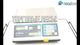 Торговые весы: как выбрать и подключить?