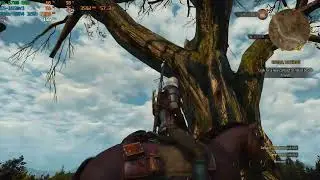 E5-1650v3 with RX 5700 8Gb The Witcher 3 at 1080p (HIGH settings) gameplay FPS test benchmark