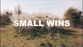 Dekker - Small Wins (Official Video)