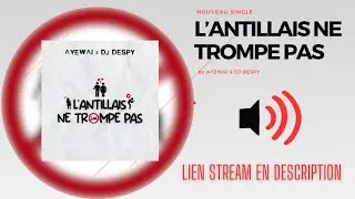 Ayewai & DJ DESPY - L’antillais Ne Trompe Pas #ANTP (clip audio)