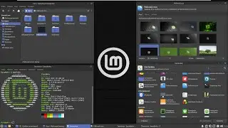 🐧 Установка Linux Mint 20 XFCE FINAL STABLE RELEASE на VMWare Workstation и подробный обзор нового