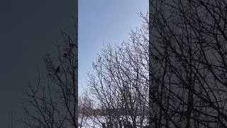 #деревня #весна #март