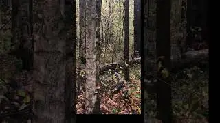 Инга, как родная душа🤗 Видео от Наталии
