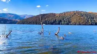 Shangrila Shudu Lake #shangrila #chinatours #yunnan