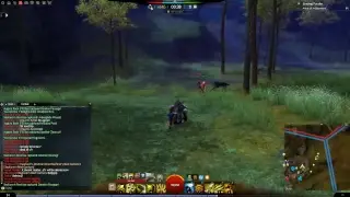 Guild Wars 2 WvW :)